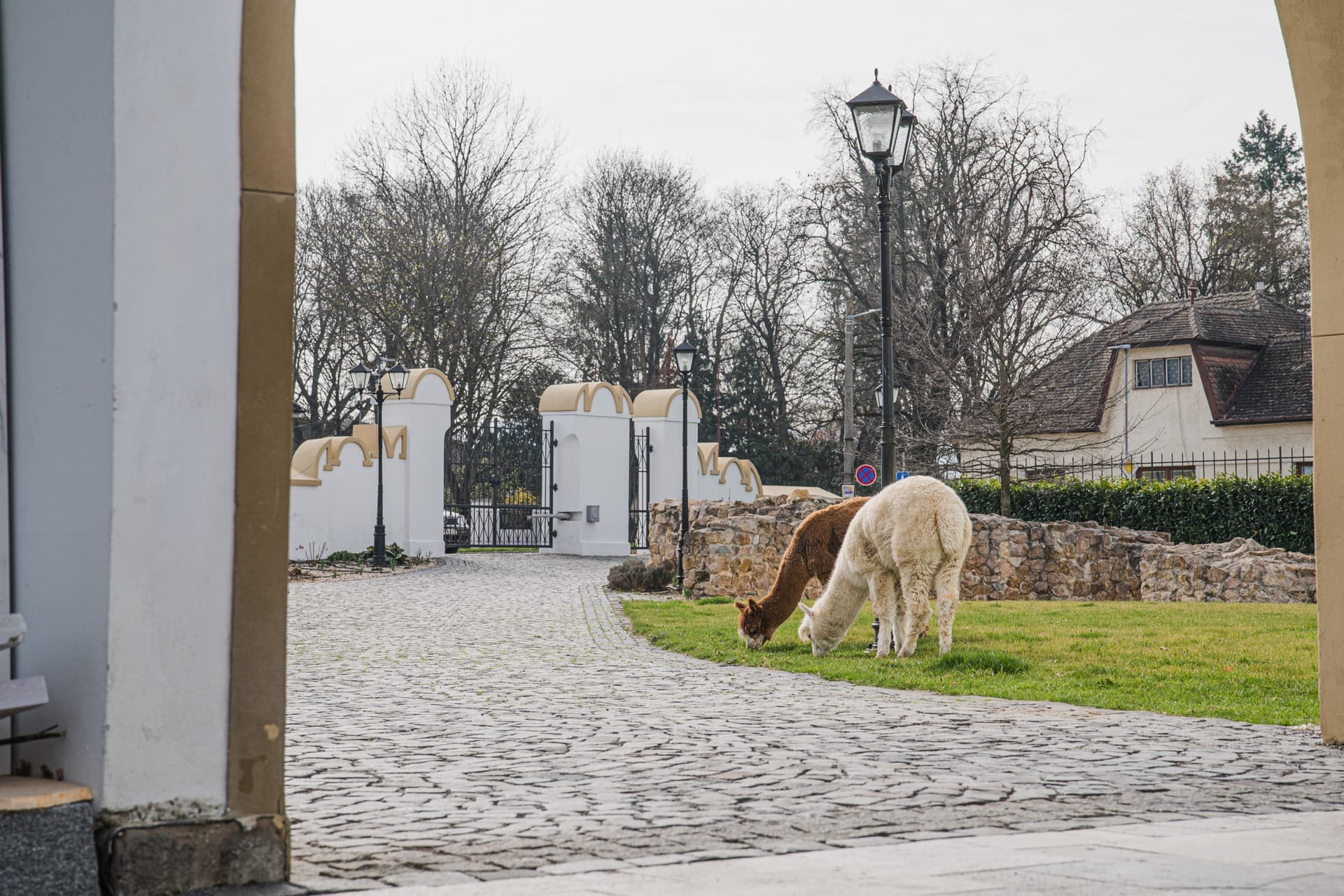 Interiér kaštieľa 7